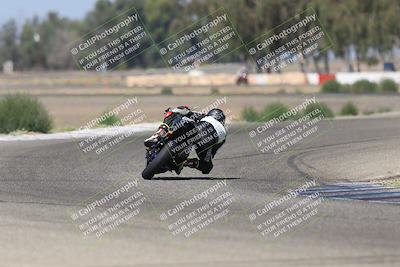 media/Sep-07-2025-Pacific Track Time (Sun) [[a6322260b9]]/A and B Group/Wheelie Bump A and B/